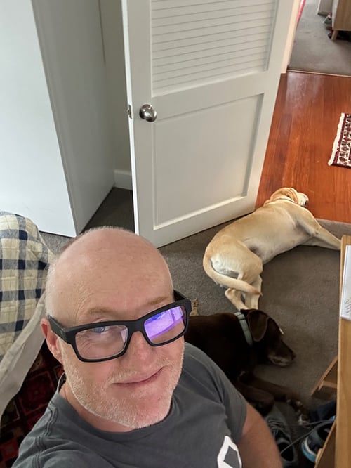 The HELPP Vet office - complete with dogs