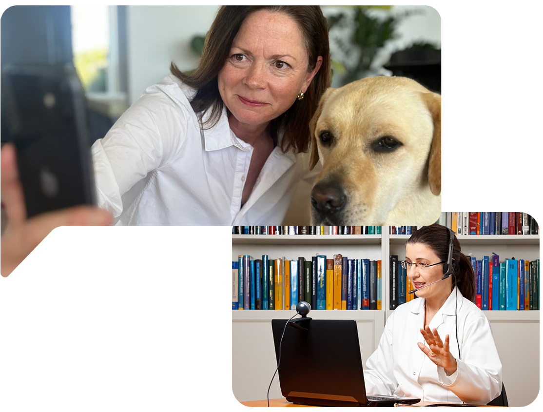 Televet service in progress Televet service in progress